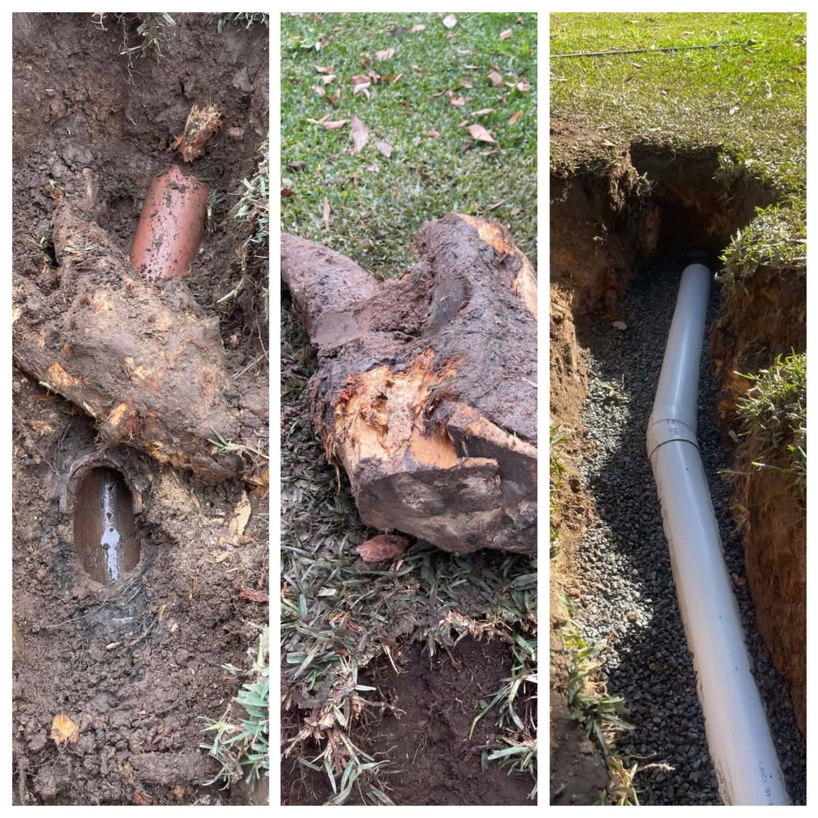Collage showing root blockage, damaged pipe, and replacement pipework