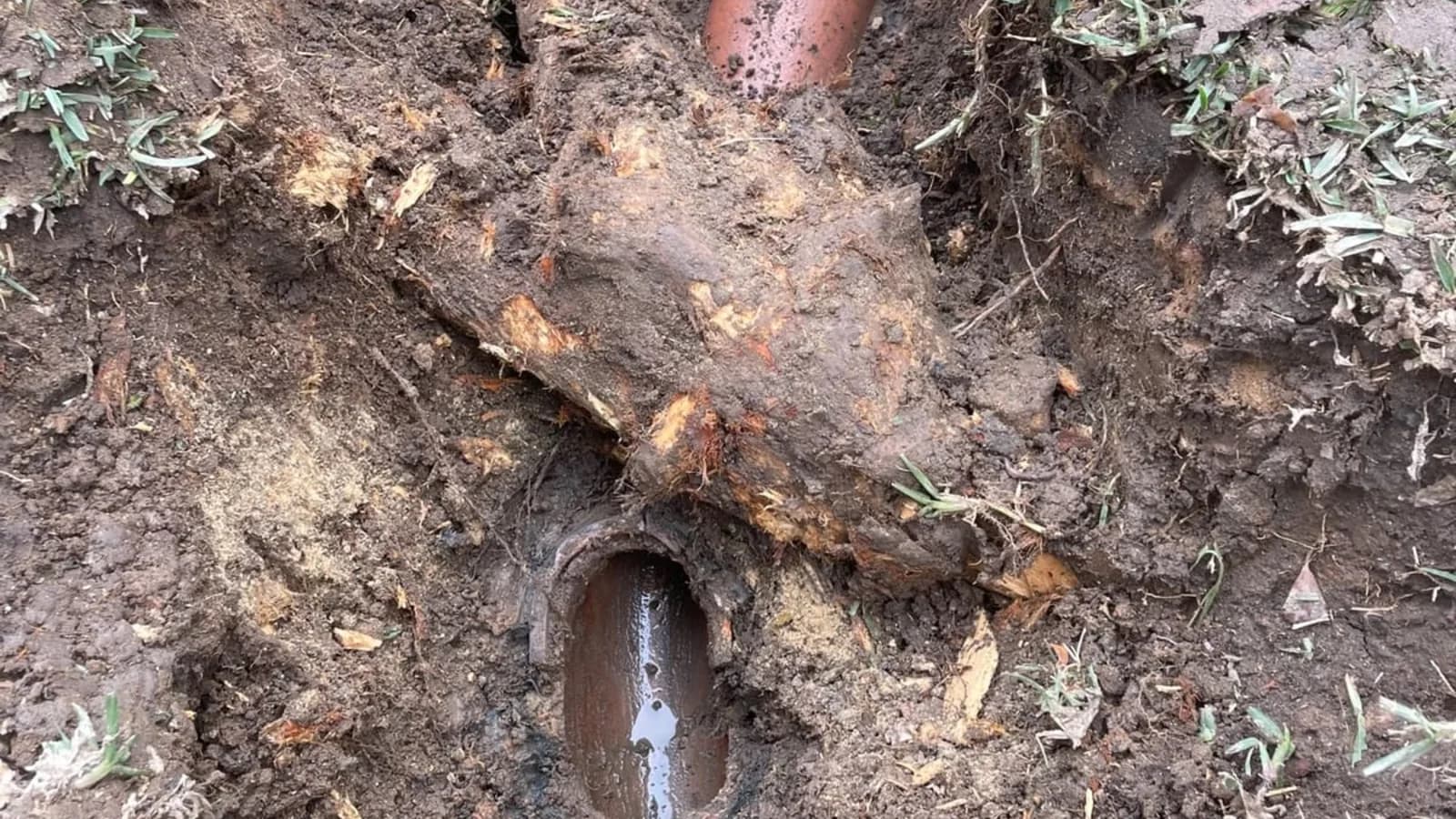 Exposed clay drain pipe with root damage visible in the trench