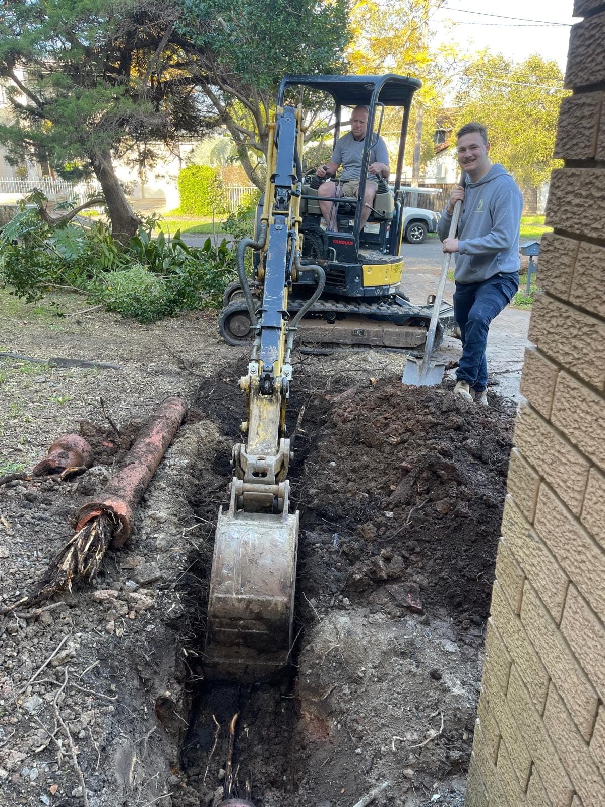 Excavator working beside root-damaged drain pipe